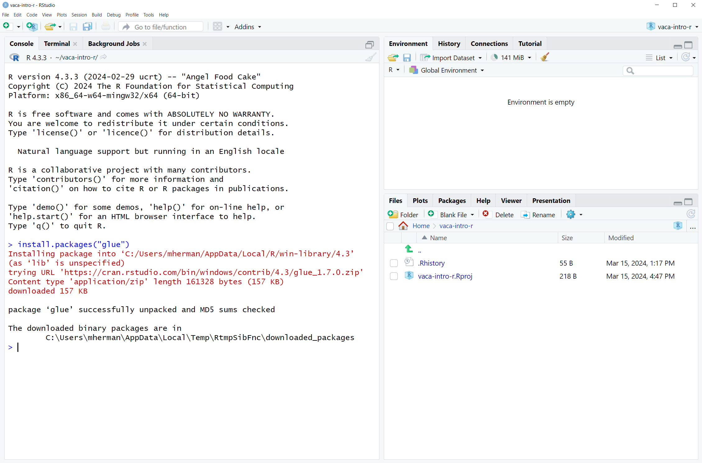 Screenshot of RStudio after install.packages('glue') is executed